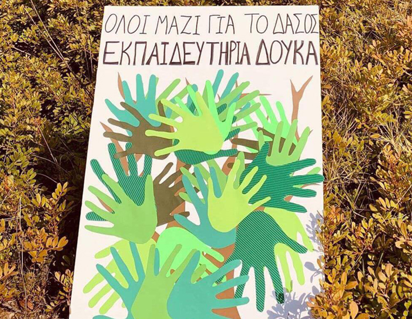 Τα Εκπαιδευτηριά μας, το μόνο Σχολείο στην Αναδάσωση της Πεντέλης!
