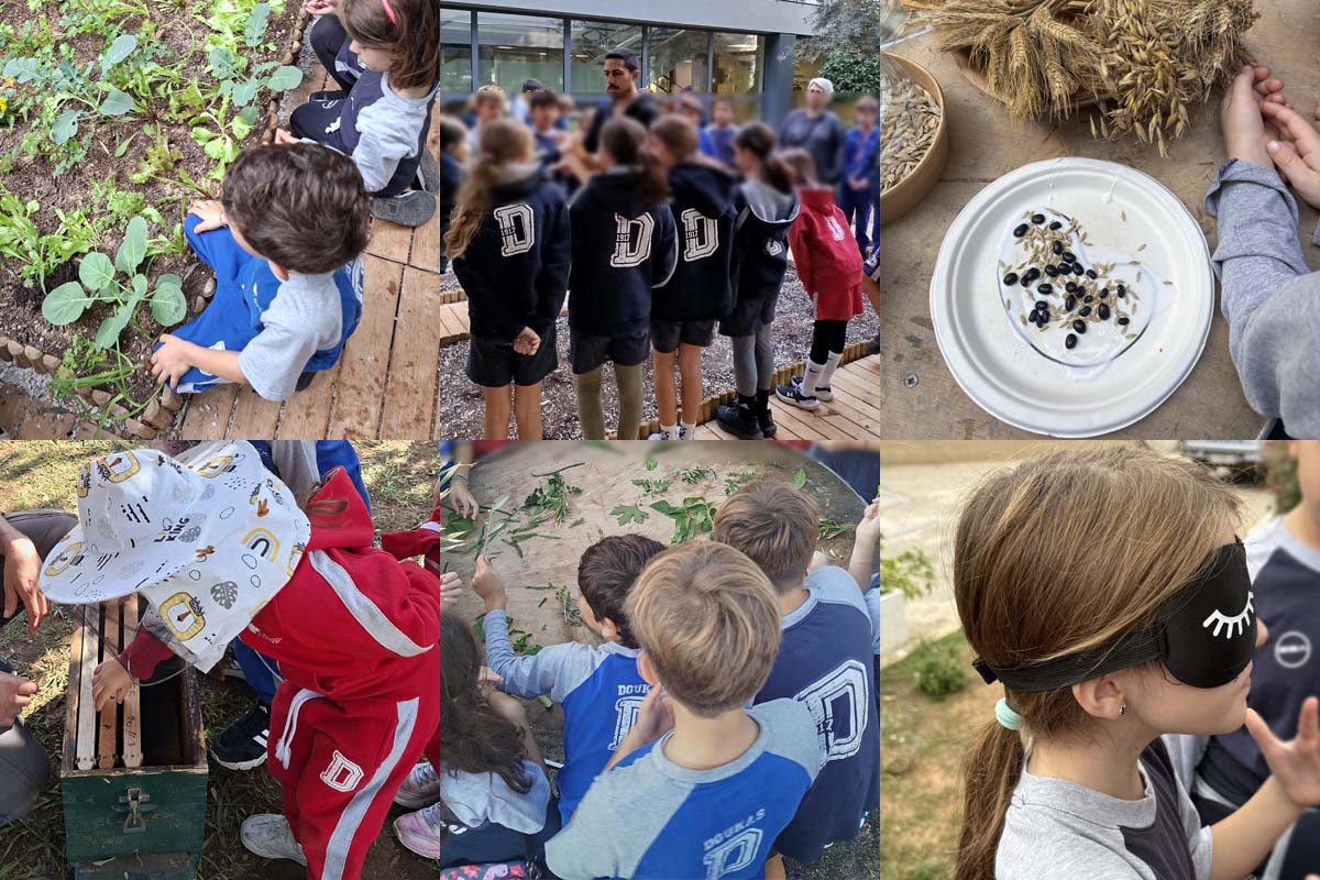 Green Days: Η Φύση ως Τάξη, η Εμπειρία ως Μάθημα