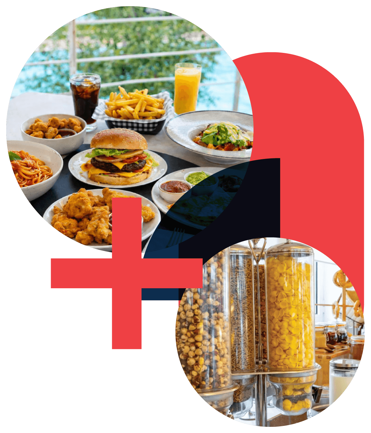  Nutrition & Daily Support